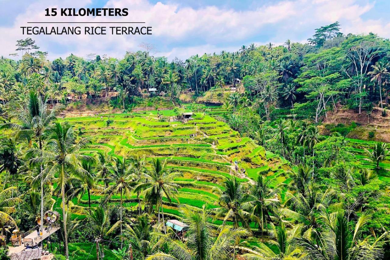 Anyuta Rai Villa Ubud Екстер'єр фото