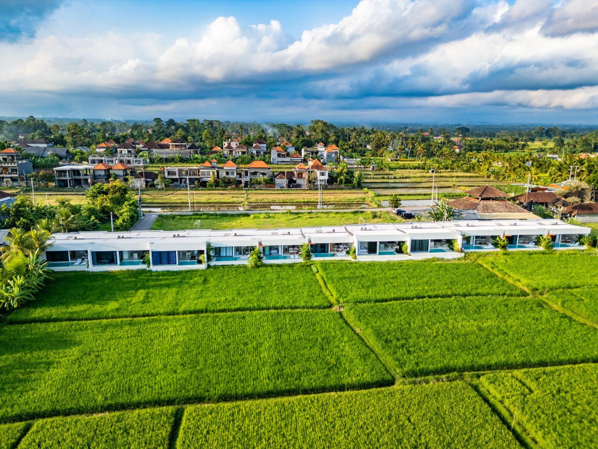 Anyuta Rai Villa Ubud Екстер'єр фото